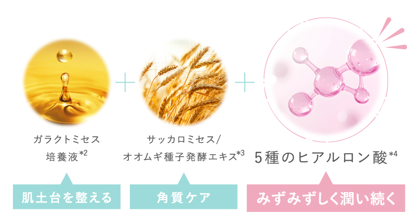 成分情報