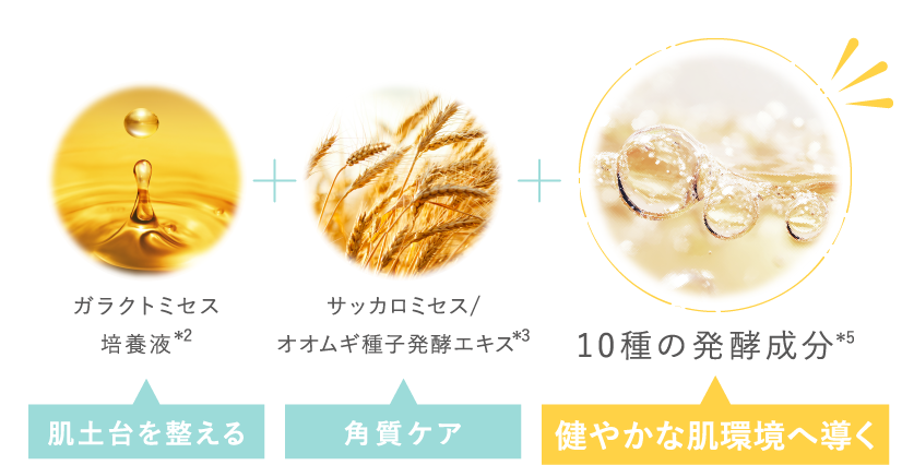 成分情報