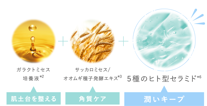 成分情報