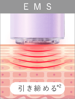 EMS 引き締める